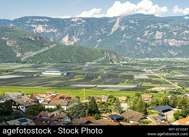 adige valley and apple trees, tramin weinstrasse, italy
