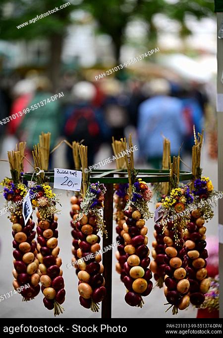 13 October 2023, Thuringia, Weimar: Onion braids hang for sale at a market stall at the 370th Weimar Onion Market. The main role is played by around 50 onion...
