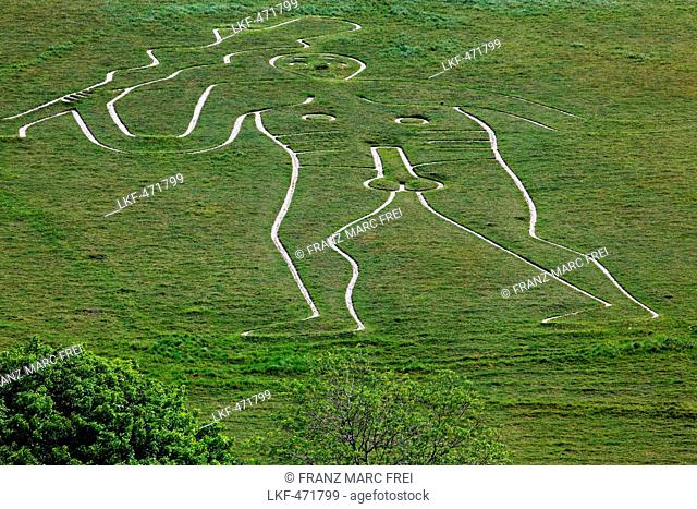 Cerne Abbas Giant hill figure, Cerne Abbas, Dorset, England, Great Britain