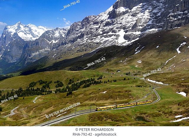 Train from Grindelwald on route to Kleine Scheidegg, Bernese Oberland, Swiss Alps, Switzerland, Europe