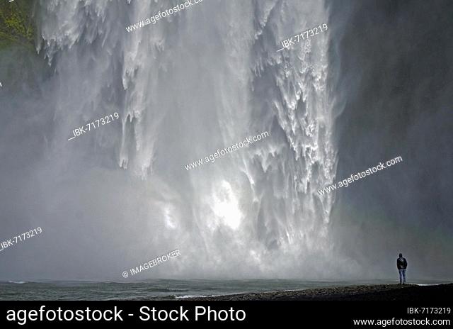 Man in front of falling masses of water of a waterfall, Skogafoss, Iceland, Europe