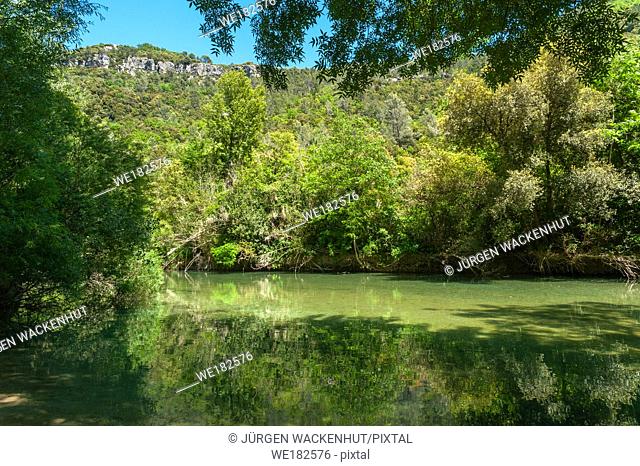 Scenery at the river Siagne, Saint-Cezaire-sur-Siagne, Alpes-Maritim, Provence-Alpes-Cote d`Azur, France, Europe