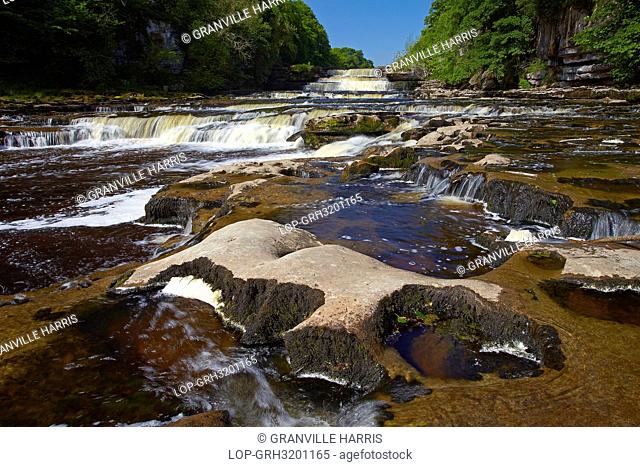 England, North Yorkshire, Aysgarth. The lower falls of Aysgarth Falls on the River Ure, a series of limestone steps surrounded by forest