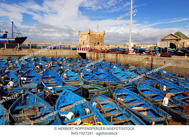 Essaouira; Harbour; Morocco