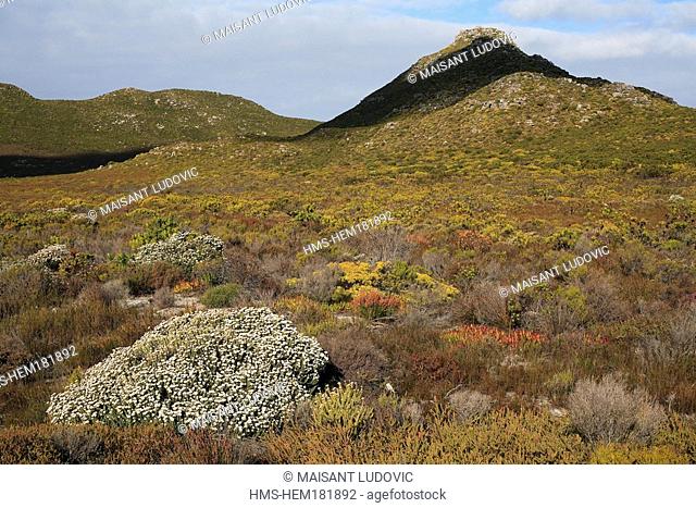 South Africa, Table Mountain National Park, Cape of Good Hope