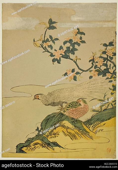 Pheasants under Branch of Peach Blossoms, c. 1764/75. Creator: Isoda Koryusai