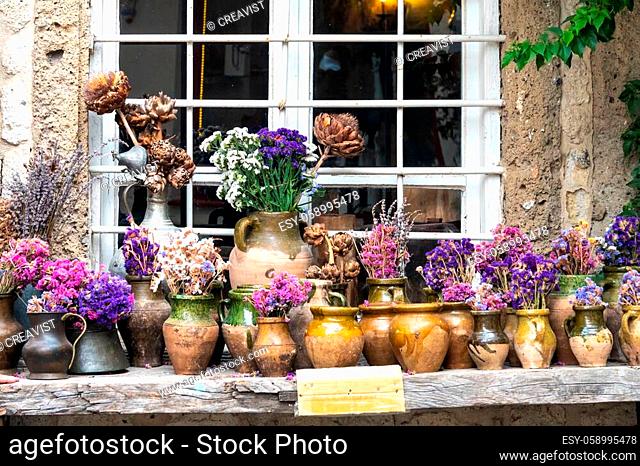 Ornamental plants of different types in pots on the bench