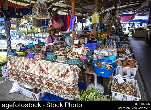Pasar Tamu Lachau (Local Native Market), Sarawak, East Malaysia, Boreno Pasar Tamu Lachau is a traditional native market located in the small town of Lachau in...