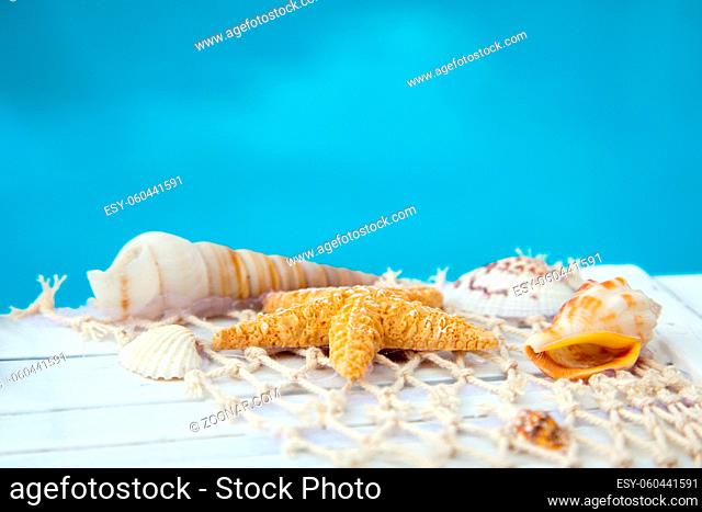 fishing net with mussels and starfish in front of blue water