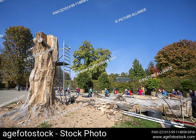 13 October 2022, Saxony, Dresden: Park visitors walk behind an artistically designed book torso and part of the felled blood beech in Pillnitz Palace Park