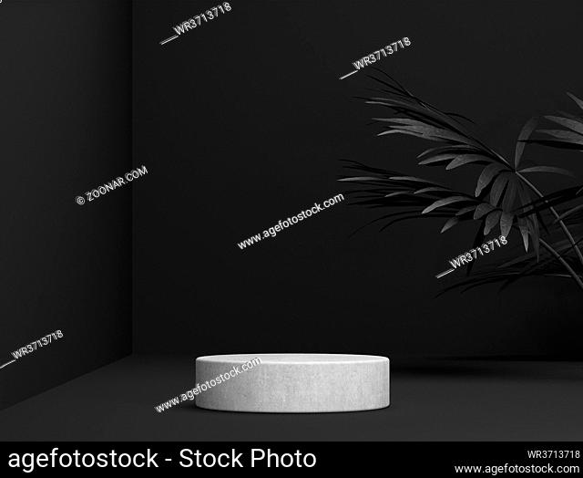 abstract stone template as presentation stage with leaf shadow in front of background - 3D Illustration