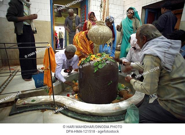 Devotees offering prayers at Shiv ling in Jageshwar temple of lord Shiva built by Marathas in 17th century at Bandakpur District ; Damoh ; Madhya Pradesh ;...