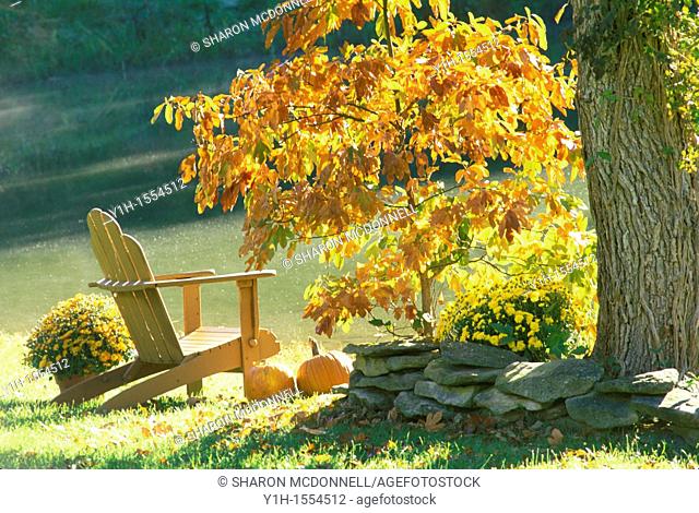 Adirondack chair sits beside lake with mist rising off water in morning light of fall with orange foliage on Sassafras tree, Missouri USA
