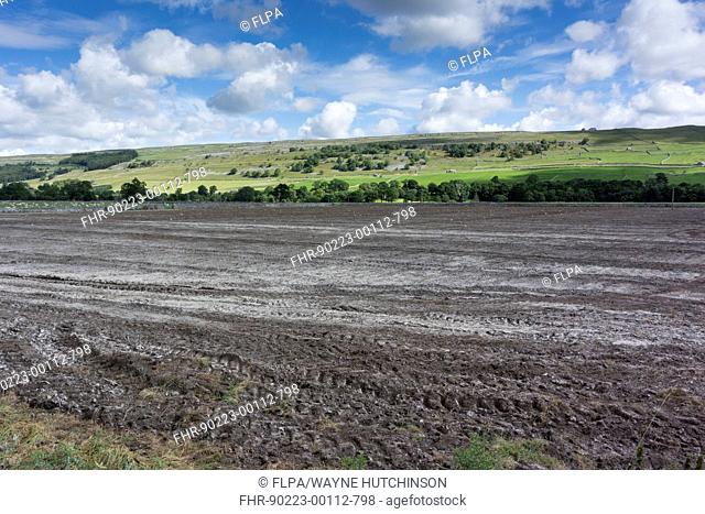 Field reseeded and limed to improve soil fertility, Wharfedale, Yorkshire Dales N.P., North Yorkshire, England, September