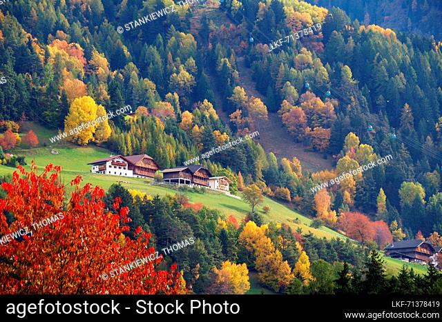 Near Seis, Sciliar area, South Tyrol, Italy