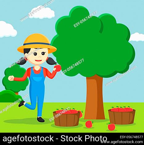 farmer woman harvesting apple tree