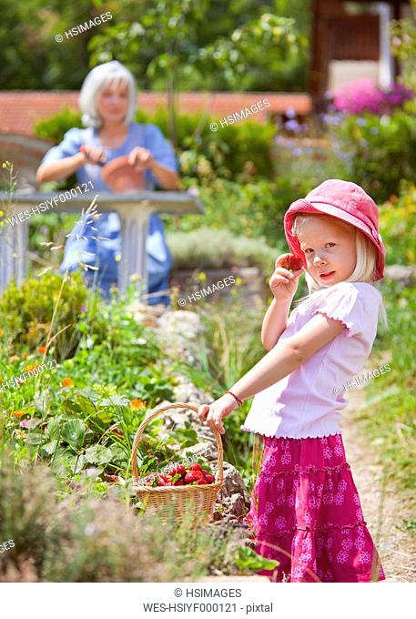 Germany, Bavaria, Girl picking starwberries in garden, mature woman in background