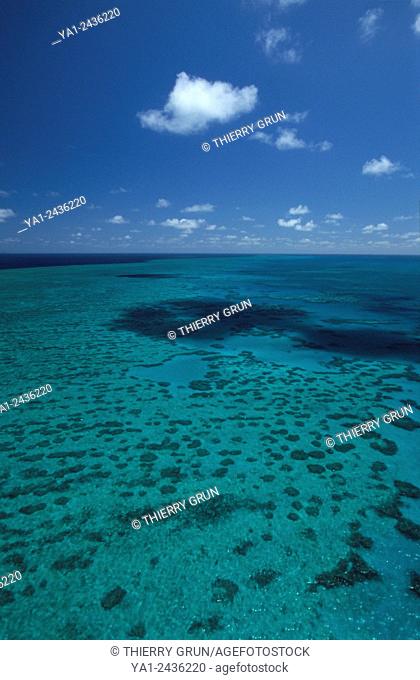 Australia, Queensland, north of Whitsunday islands, Greef barrier reef, Hook reef aerial view