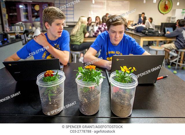 Two Mission Viejo, CA, middle school STEM (Science, Technology, Engineering and Math) students conduct a horticultural laboratory experiment