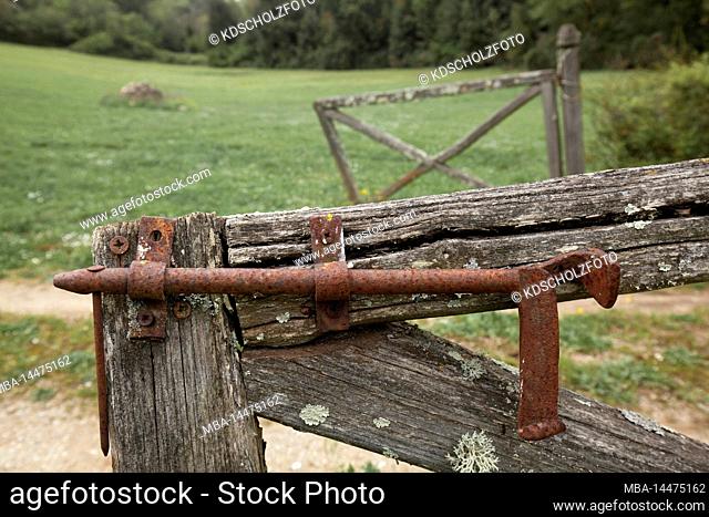 rusted iron bolt on rotten wooden gate, Tuscany, Siena region