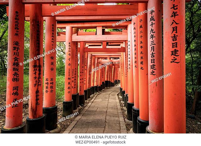 Japan, Kyoto, Fushimi Inari-Taisha temple, Torii Gate