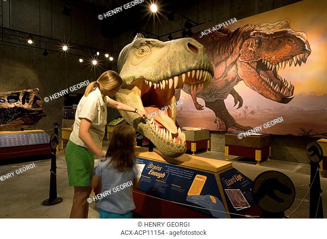 Inside the T-rex Discovery Centre, Eastend, Saskatchewan, Canada