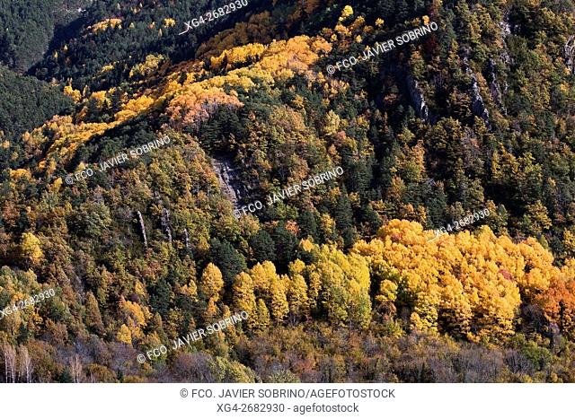Bosque mixto caducifolio - Torla - Ã. rea de protección del Parque Nacional de Ordesa y Monte Perdido - Sobrarbe - Huesca - Pirineo Aragones - Aragon - España -...