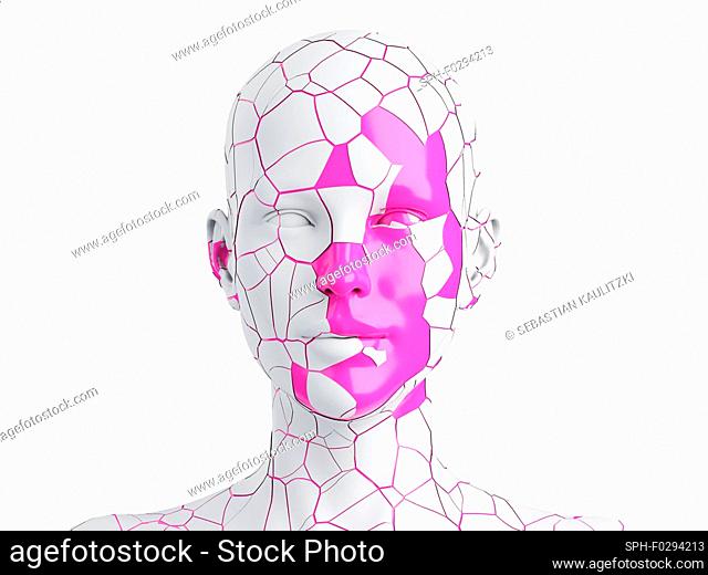 Cracked female face, illustration