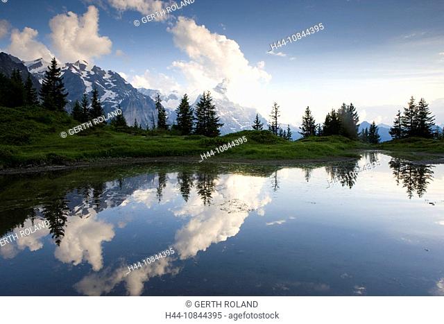 Switzerland, Europe, Grosse Scheidegg, Mountain, Mountains, Alps, Alpine, Canton Bern, Berne, Bernese Oberland, scener