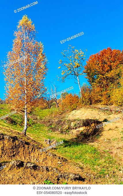 Autumn Carpathian Mountains landscape with multicolored trees on slope (Rakhiv district, Transcarpathia, Ukraine)