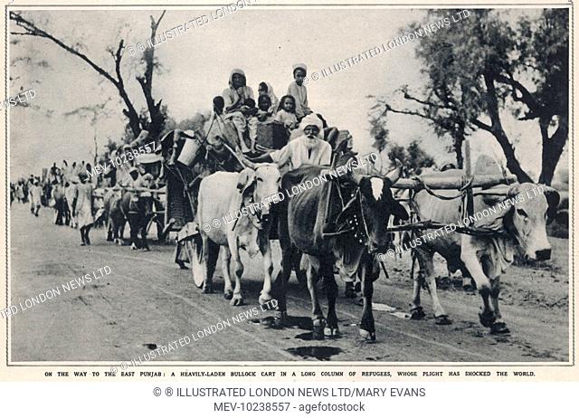 A heavily-laden bullock cart transporting an extended Sikh refugee family fleeing the communal rioting and additional violence in the East Punjab region...
