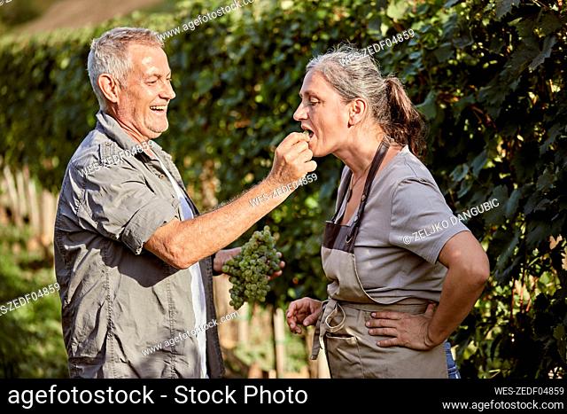 Happy farmer feeding grape to woman in vineyard on sunny day