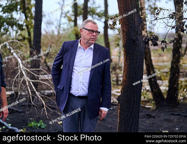 20 June 2022, Brandenburg, Treuenbrietzen: Michael Stübgen (CDU), Minister of the Interior of the State of Brandenburg, stands in the burned forest in...