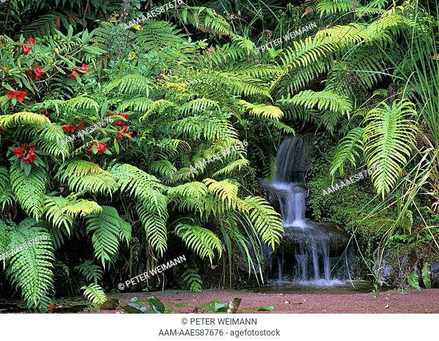 Rapaura Watergarden, waterfalls, Coromandel Peninsula, Tapu, New Zealand