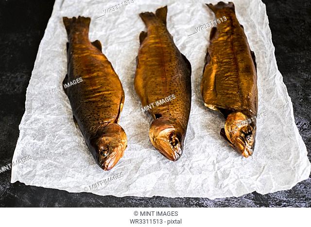 High angle close up of three freshly smoked whole trout on a white paper