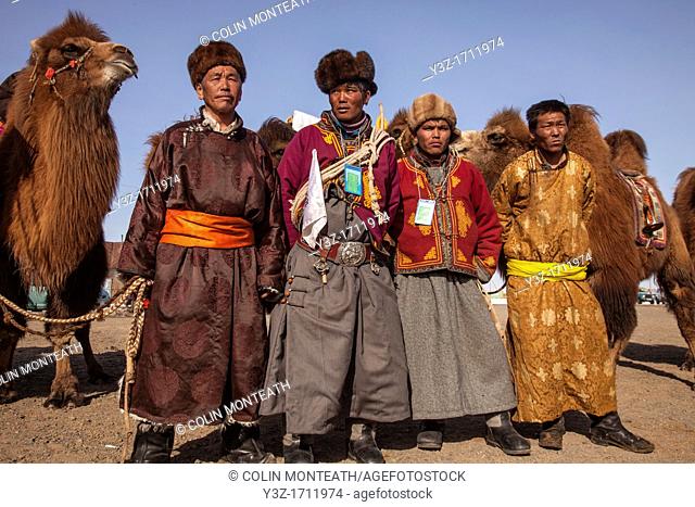 Team at end of Bactrian baggage loading competition during Bulgan's 'festival of a thousand camels' , Gobi desert, Mongolia