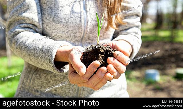 A woman puts a plant in the spring