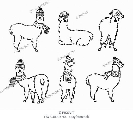 Vector illustration of cute character south lama. Isolated outline cartoon baby llama. Hand drawn Peru animal guanaco, alpaca, vicuna