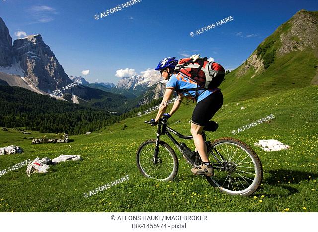 Mountain bike rider on the descent from Forcella Ambrizzola mountain, Alto Adige, Italy, Europe