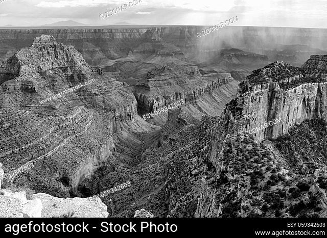 the beautiful grand canyon national park north rim arizona (black and white) USA