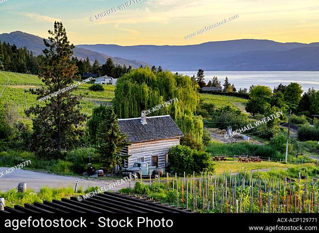 Log cabin house, Summerhill Pyramid Winery, Kelowna, Okanagan Valley, British Columbia, Canada