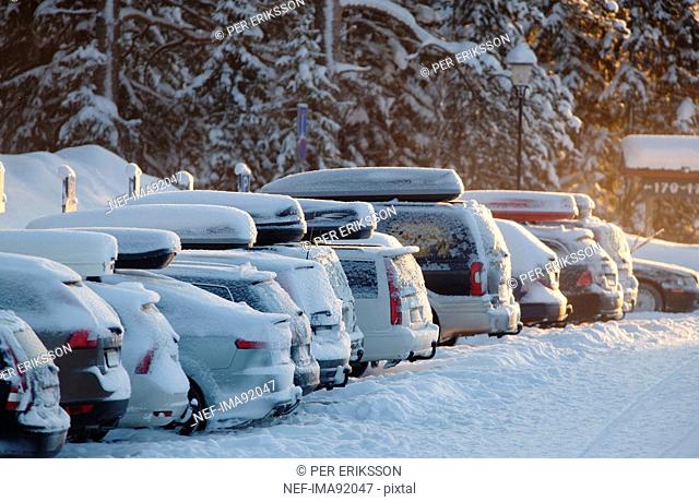 Parked cars covered in snow