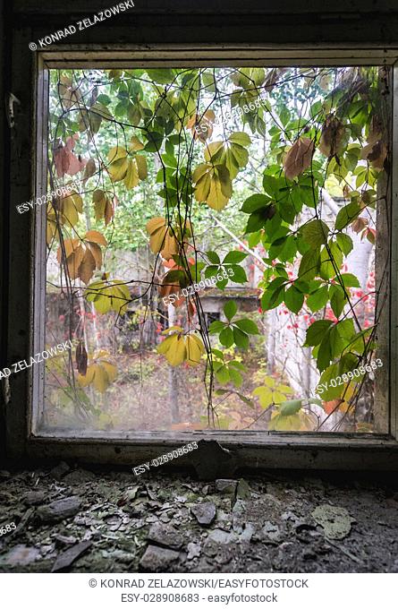 View from window of ""Cheburashka"" kindergarten No 10 in Pripyat ghost city, Chernobyl Nuclear Power Plant Zone of Alienation in Ukraine