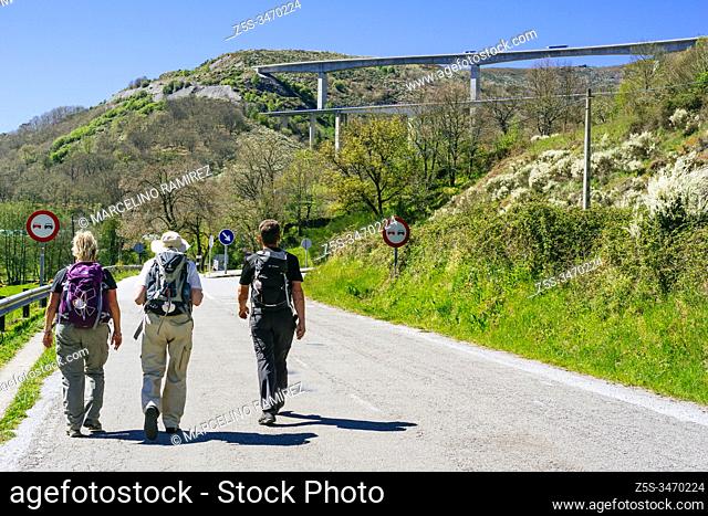 Pilgrims walk along the left side of the road between the towns of Ruitelán and Vega de Valcerce. French Way, Way of St. James