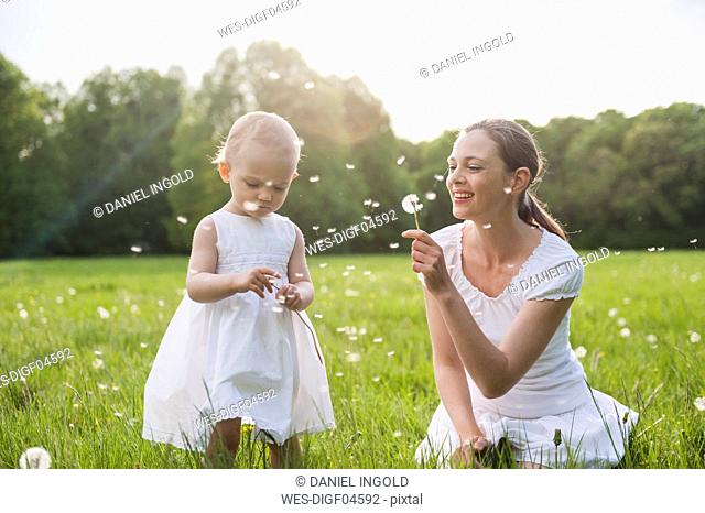 Mother and daughter with blowballs on meadow in summer