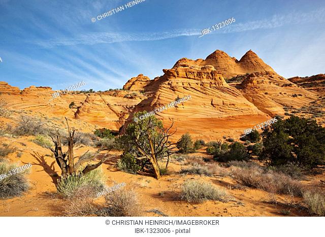 Cottonwood Teepees, Coyote Buttes South, Paria Canyon-Vermilion Cliffs Wilderness, Utah, Arizona, America, United States