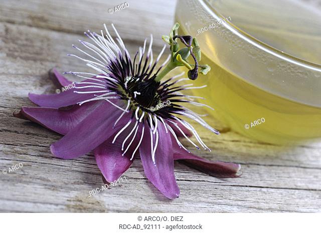 Passion Vine Flower cup of tea and blossom Passiflora incarnata indoor Passifloraceae