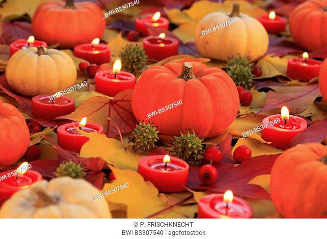autumn decoration with pumpkins, autumn leaves and burning tea candles