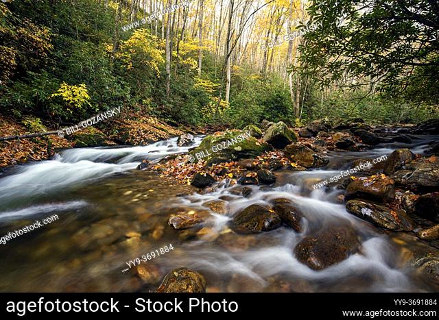 Courthouse Creek - Pisgah National Forest - near Balsam Grove, North Carolina, USA