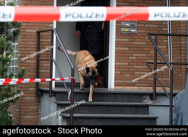 29 April 2020, North Rhine-Westphalia, Gelsenkirchen: A drug-sniffing dog comes out of the entrance to a crime scene. A police officer was killed this morning...